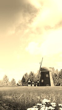 Szary + Sepia