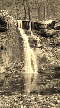Sepia