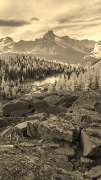 Sepia