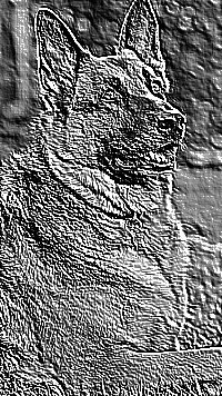 Skamielina