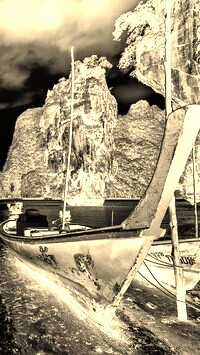 Sepia + Negatyw