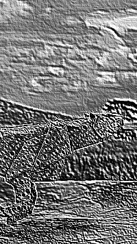 Skamielina
