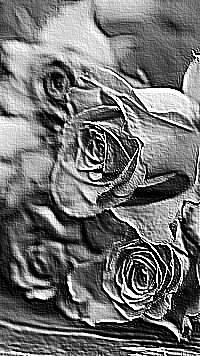 Skamielina