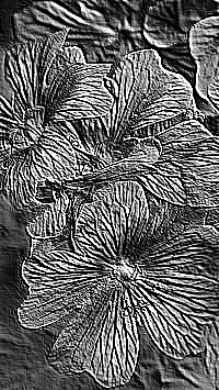 Skamielina