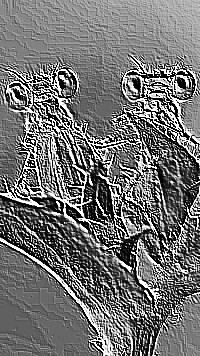 Skamielina