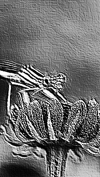 Skamielina