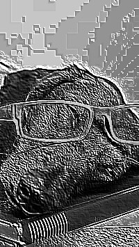 Skamielina