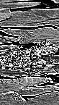 Skamielina