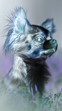Negatyw
