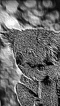 Skamielina