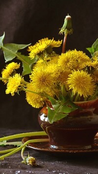 Oryginalny obrazek