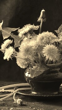 Szary + Sepia