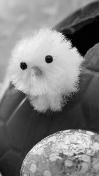 Szary