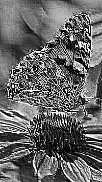 Skamielina