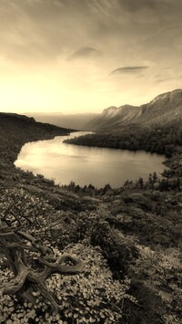 Sepia
