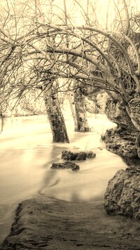 Szary + Sepia