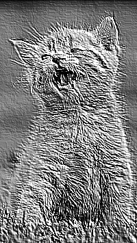 Skamielina