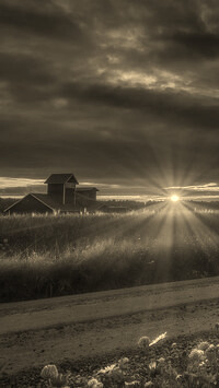 Sepia