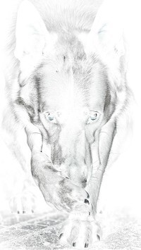 Negatyw