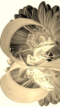 Sepia + Negatyw