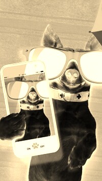 Sepia + Negatyw