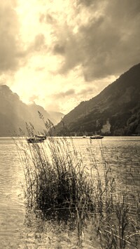 Szary + Sepia