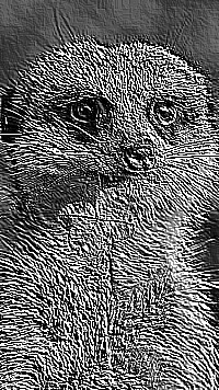 Skamielina