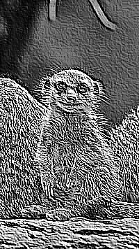 Skamielina