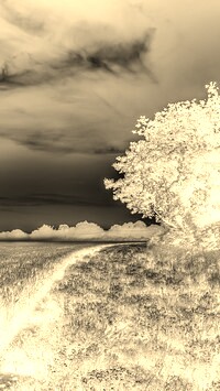 Sepia + Negatyw