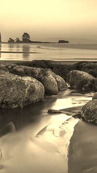 Szary + Sepia