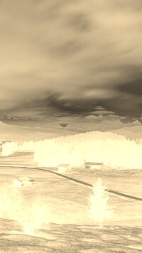 Sepia + Negatyw