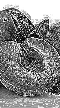 Skamielina