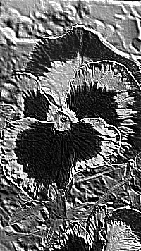 Skamielina
