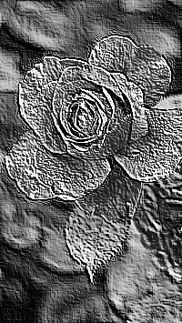 Skamielina