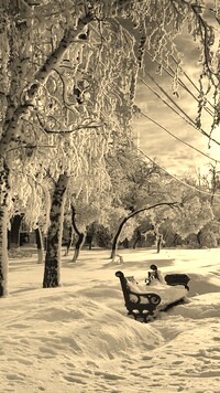Szary + Sepia