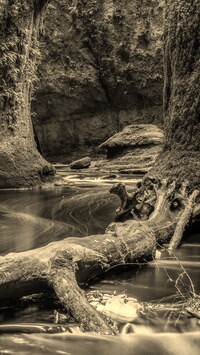Szary + Sepia