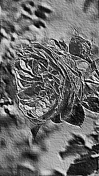 Skamielina