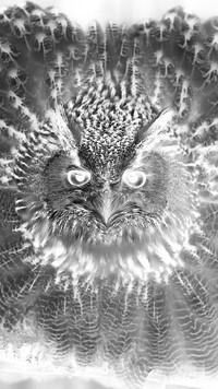 Szary + Negatyw
