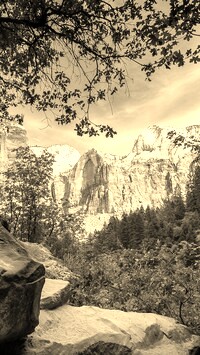 Szary + Sepia