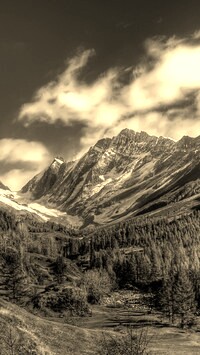 Sepia