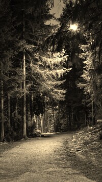 Szary + Sepia