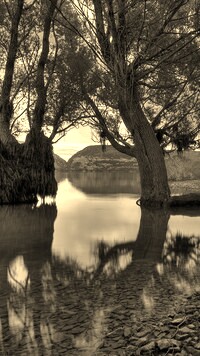 Szary + Sepia