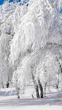 Oryginalny obrazek