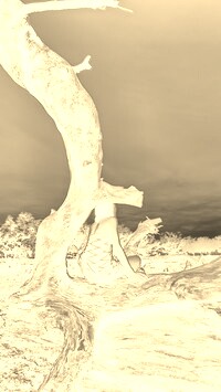 Sepia + Negatyw