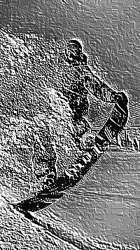 Skamielina