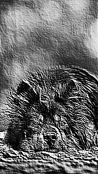 Skamielina