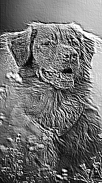 Skamielina