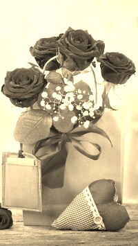 Szary + Sepia
