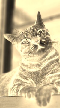 Sepia + Negatyw