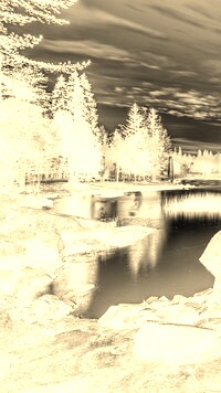 Sepia + Negatyw